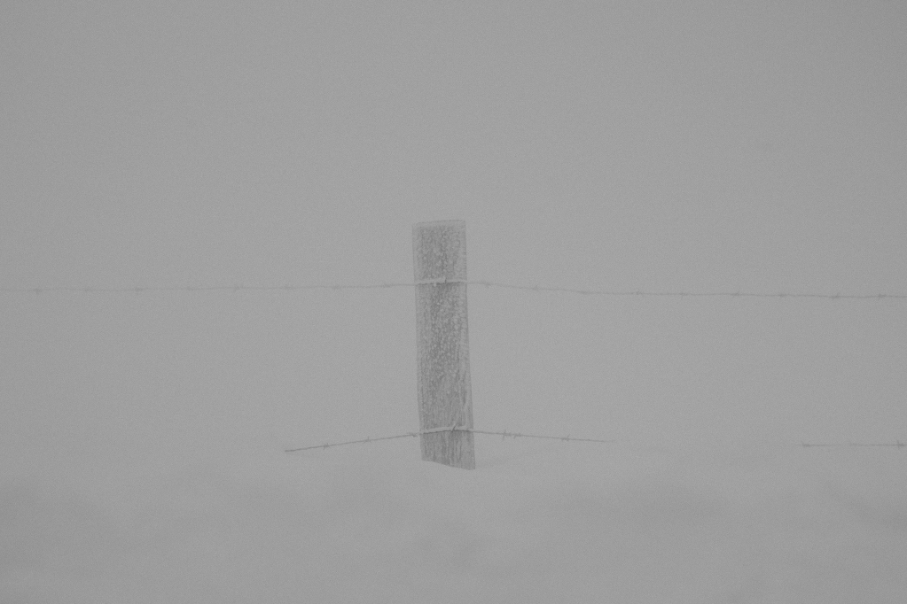 winter-tales-6941