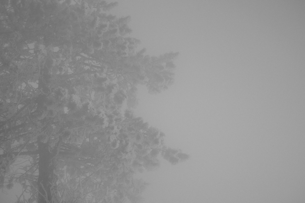 winter-tales-6943