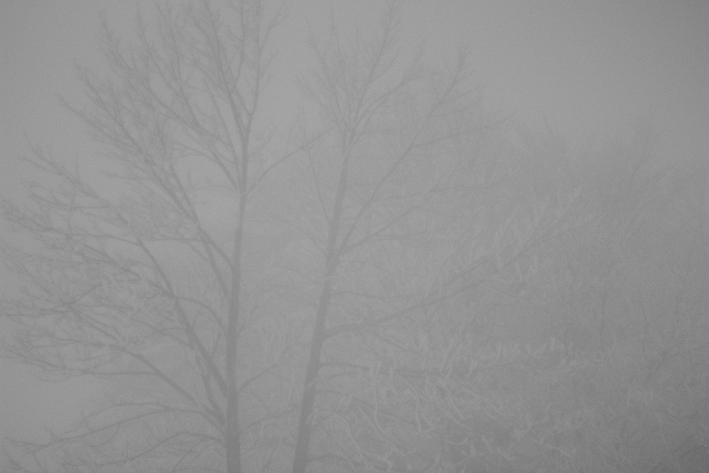 winter-tales-6944