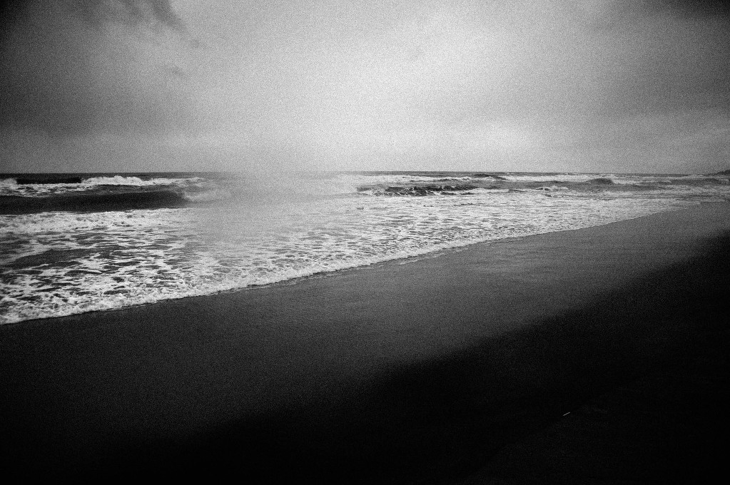 SUMMER-SCAPE-7