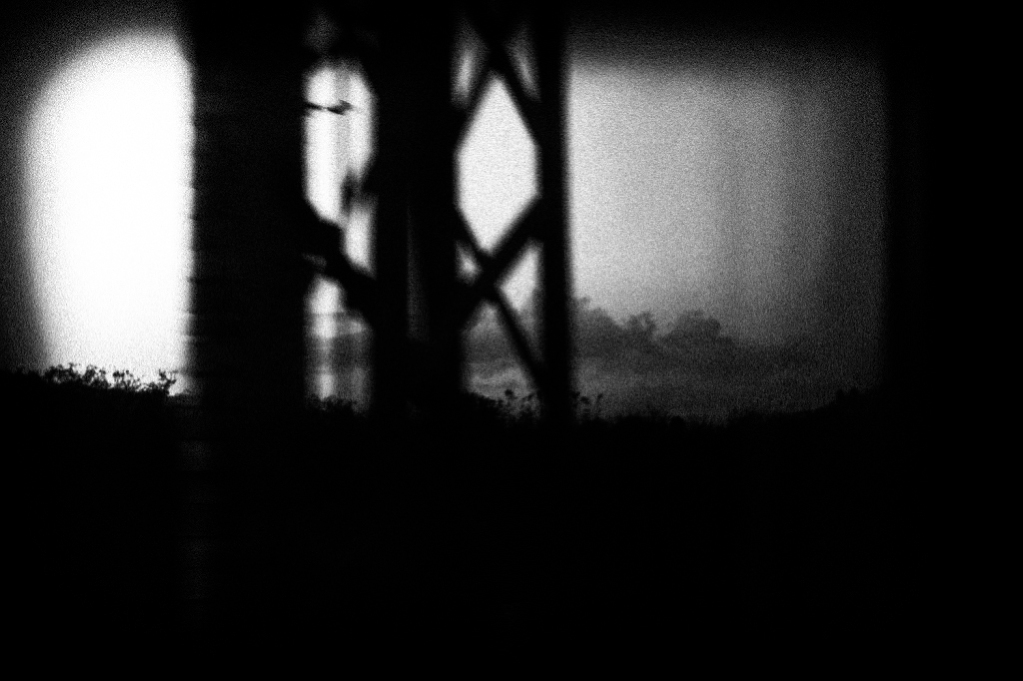 Paesaggi dal finestrino - moving landscape