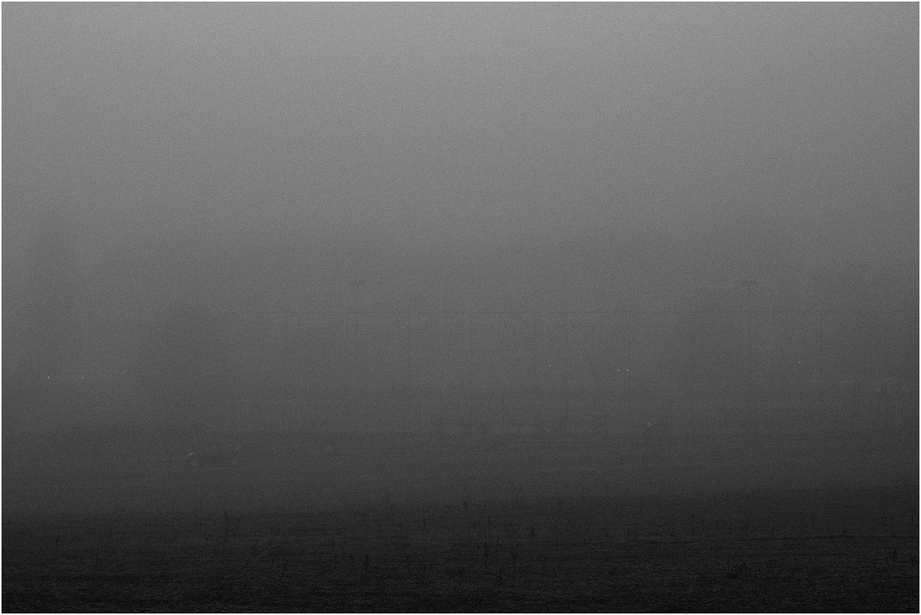 tales of fog and olive trees_0003