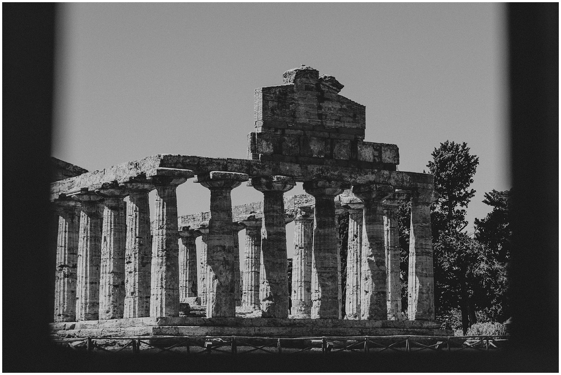 PAESTUM-4462