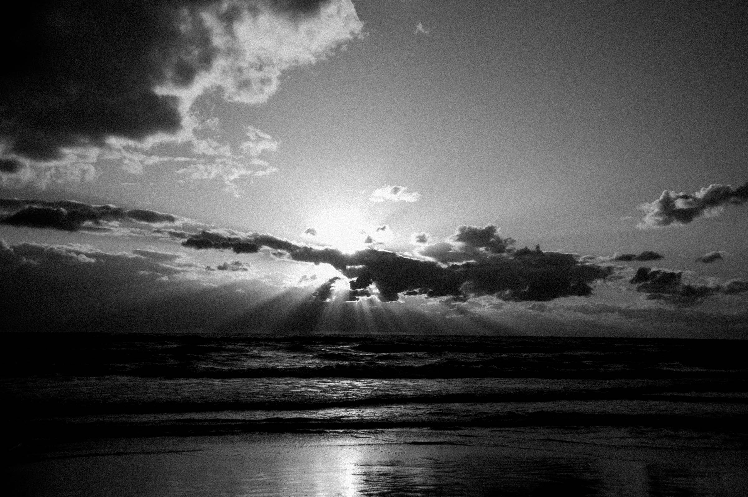 SUMMER-SCAPE-146
