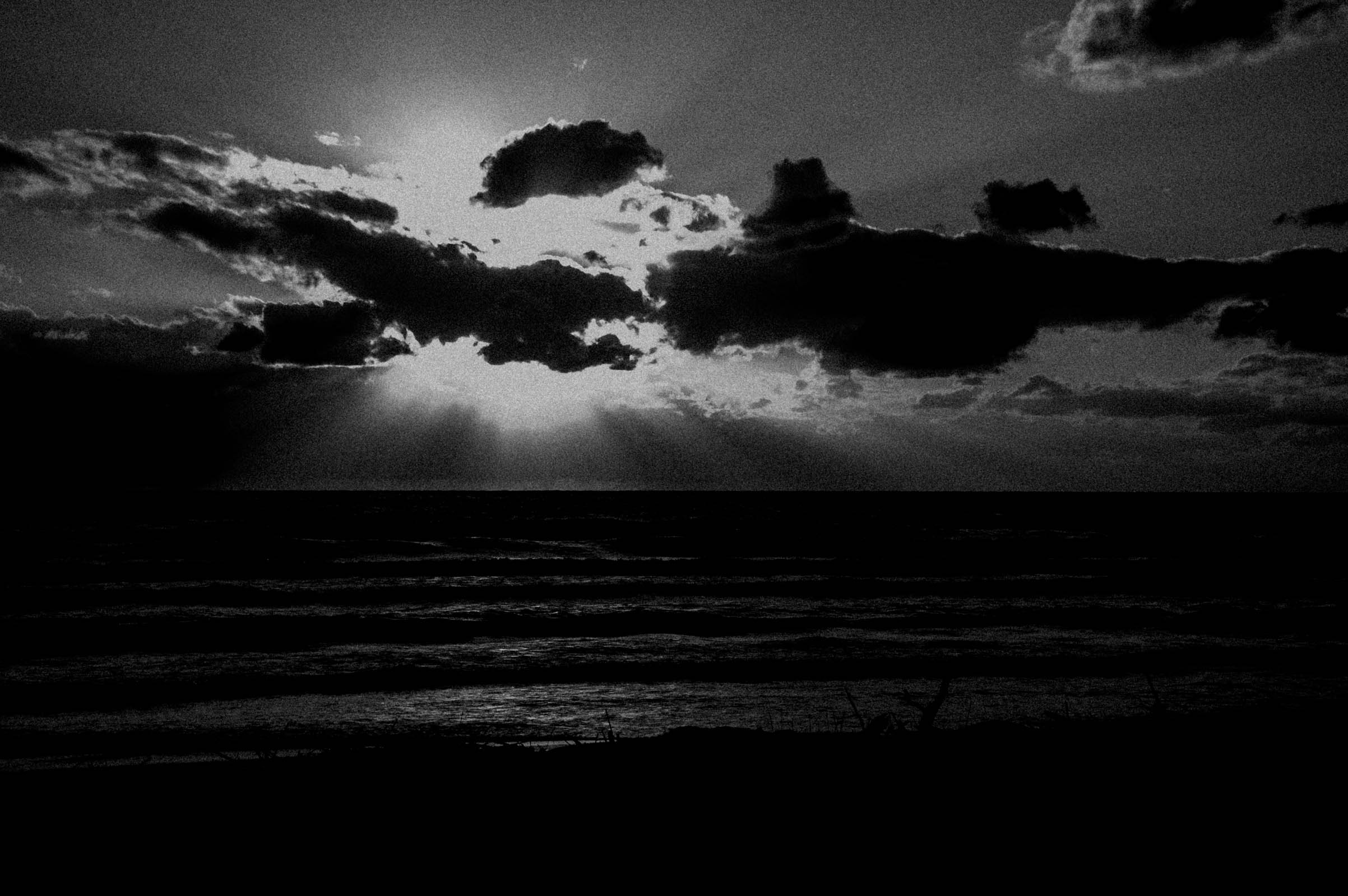 SUMMER-SCAPE-152
