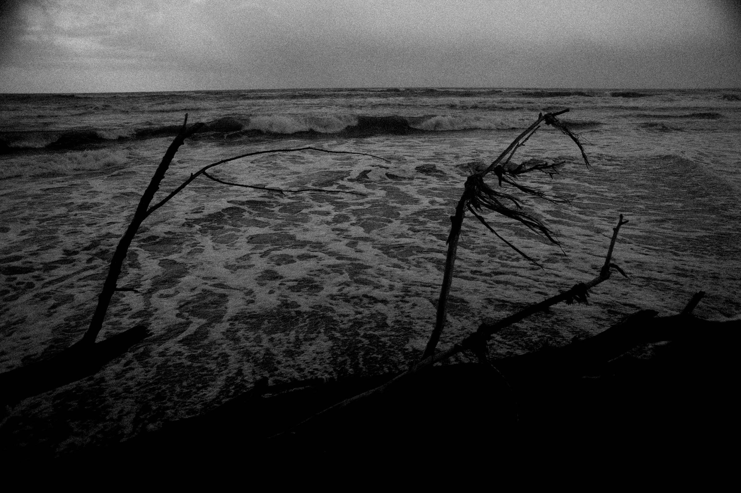 SUMMER-SCAPE-36