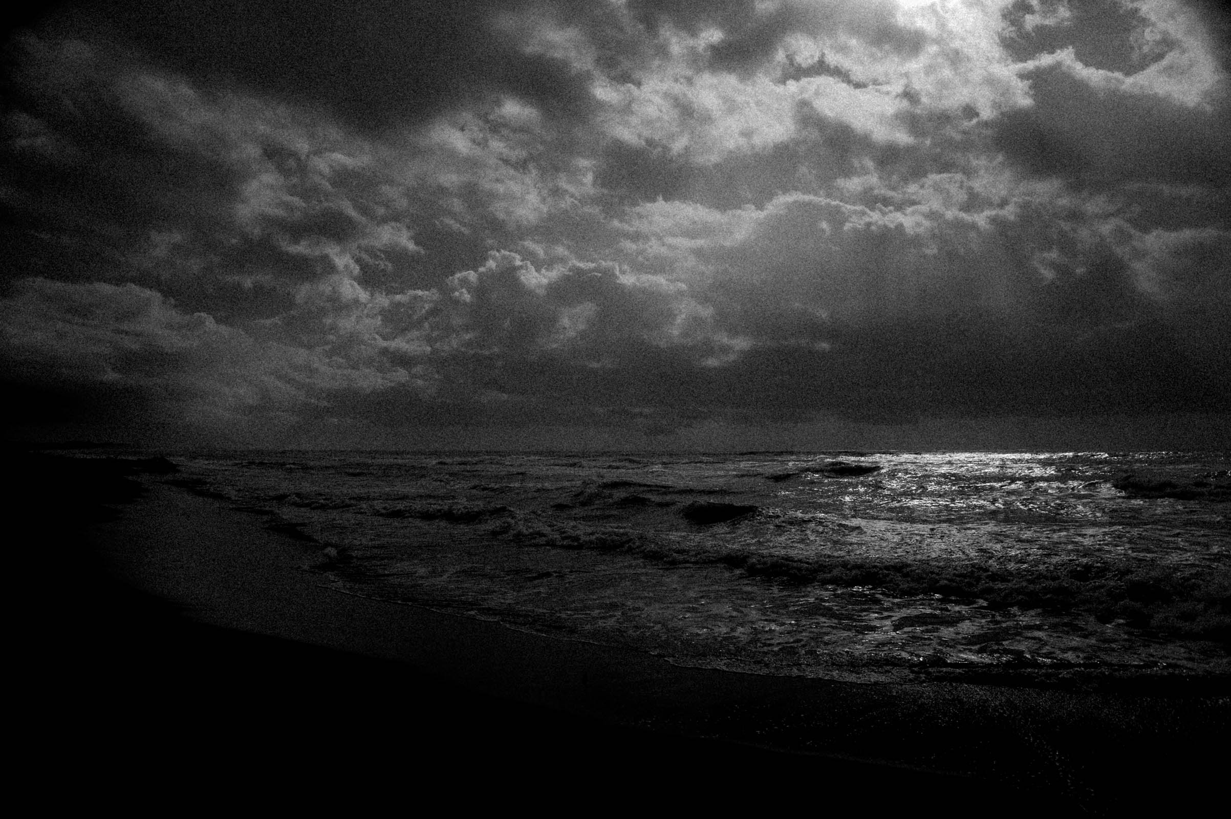 SUMMER-SCAPE-68