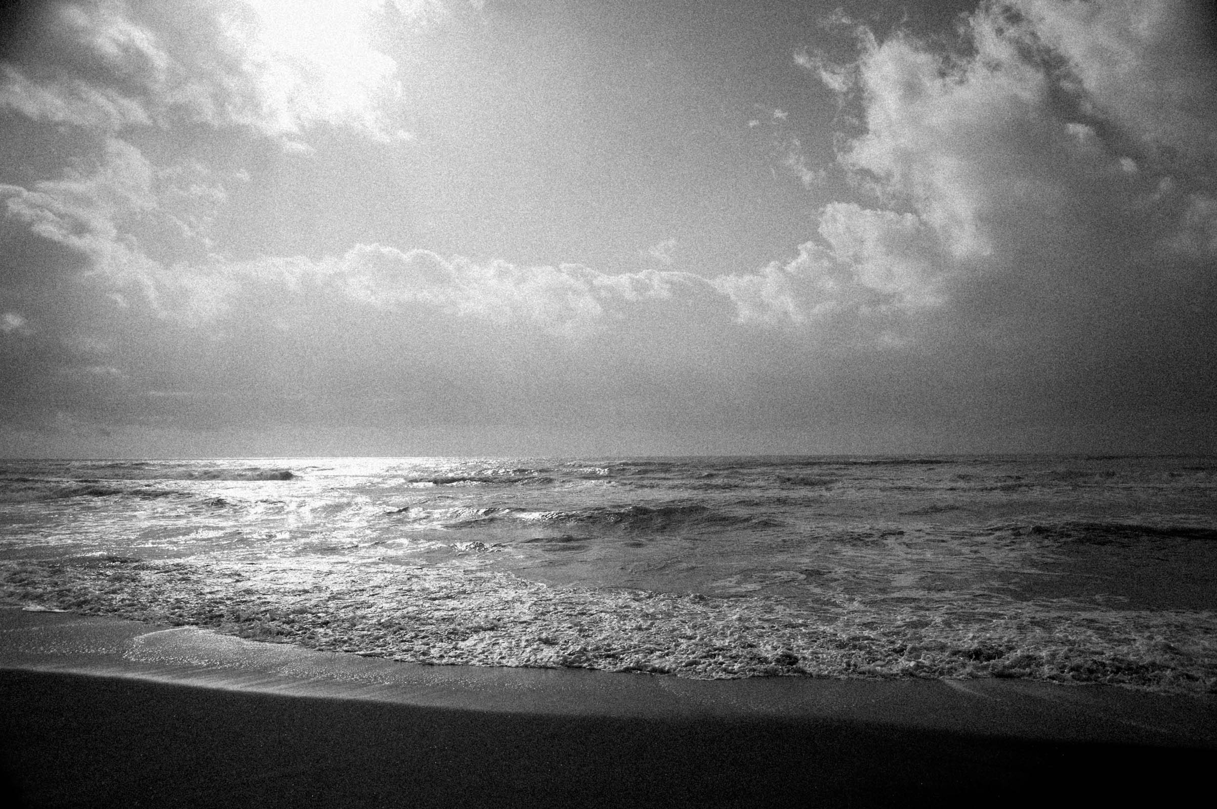 SUMMER-SCAPE-74