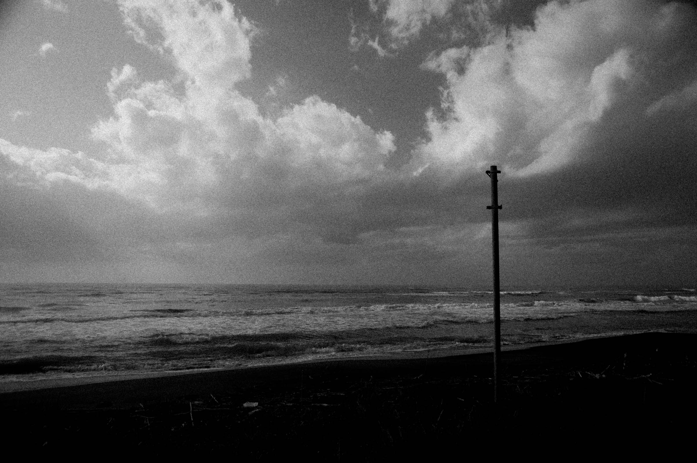 SUMMER-SCAPE-82